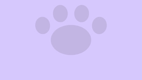Popup-paw-Transitions.-1080p---30-fps---Alpha-Channel-(5)
